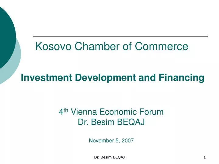 investment development and financing 4 th vienna economic forum dr besim beqaj november 5 2007