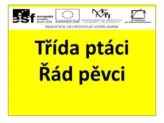 t da pt ci d p vci