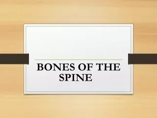 BONES OF THE SPINE