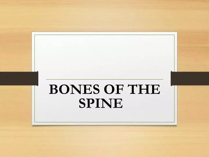 bones of the spine