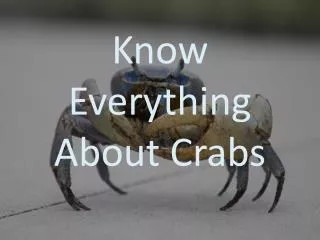 Know Everything About Crabs