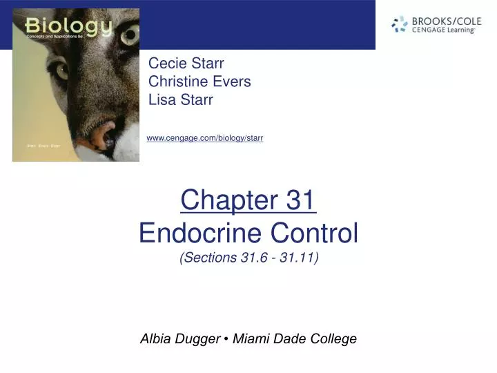 chapter 31 endocrine control sections 31 6 31 11