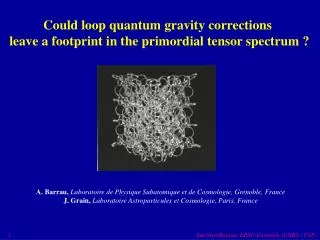 Could loop quantum gravity corrections leave a footprint in the primordial tensor spectrum ?