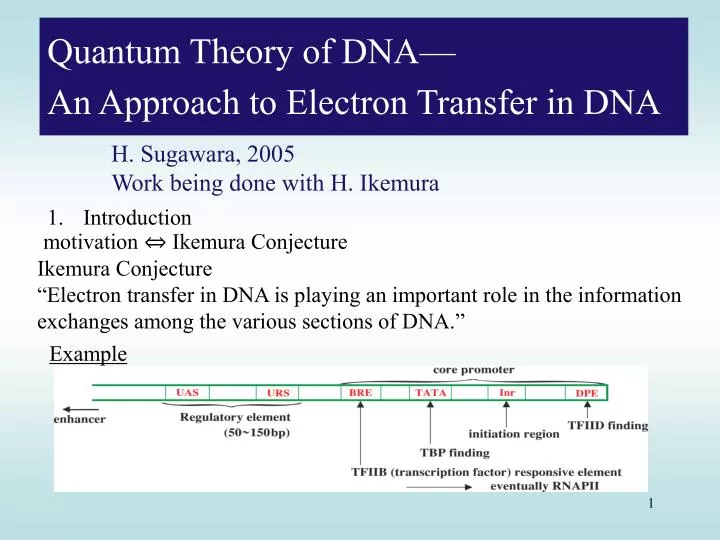 quantum theory of dna an approach to electron transfer in dna