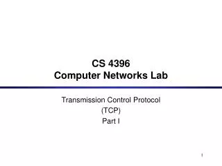 cs 4396 computer networks lab