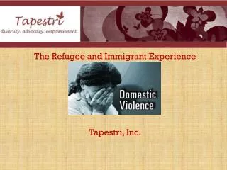 Domestic Violence The Refugee and Immigrant Experience Tapestri, Inc.