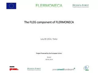 The FLEG component of FLERMONECA July 09 2014, Tbilisi