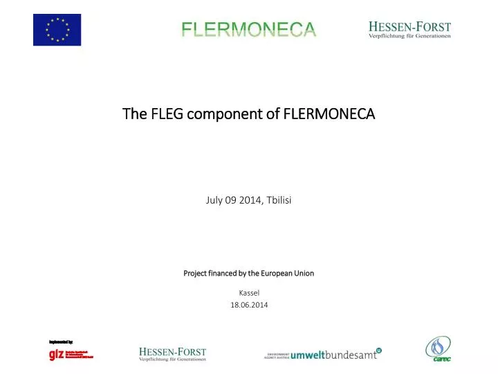 the fleg component of flermoneca july 09 2014 tbilisi
