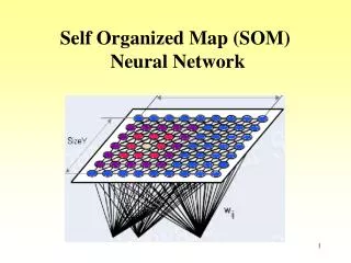 Self Organized Map (SOM) Neural Network