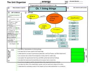 organization of living things