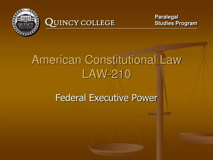 american constitutional law law 210