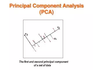 Principal Component Analysis (PCA)