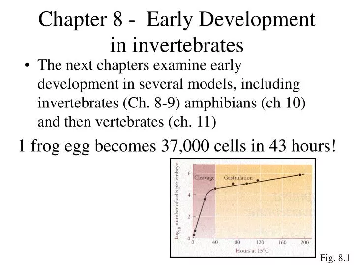 chapter 8 early development in invertebrates