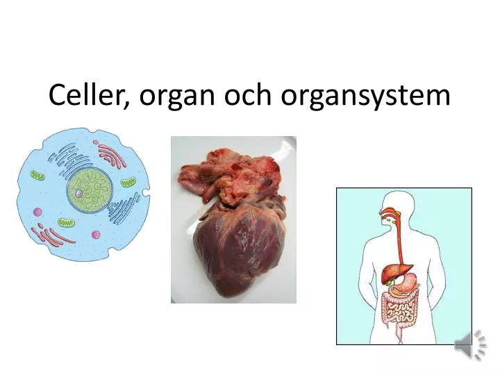 celler organ och organsystem
