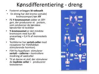 k nsdifferentiering dreng