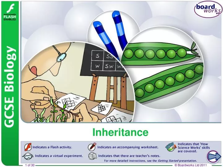 inheritance