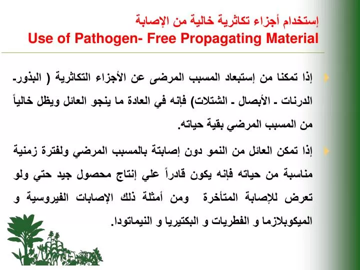 use of pathogen free propagating material