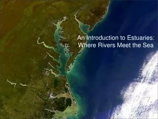 An Introduction to Estuaries