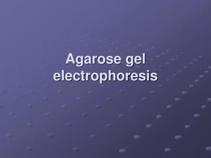 agarose gel electrophoresis