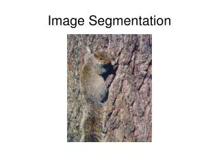 Image Segmentation