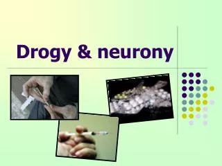 drogy neurony