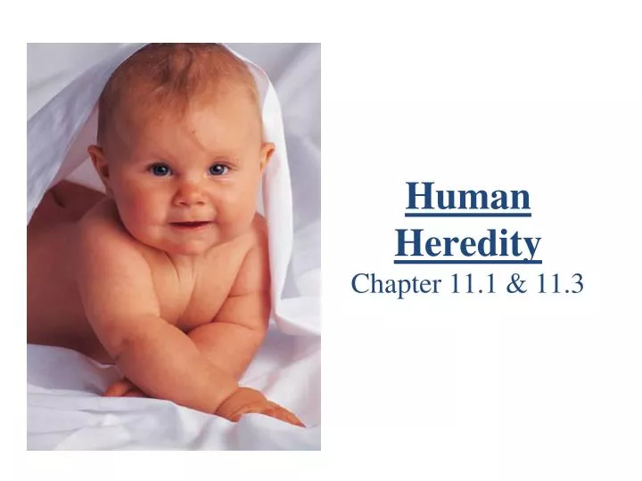human heredity chapter 11 1 11 3