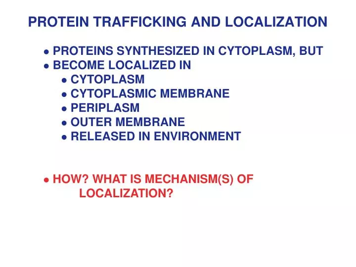 protein trafficking and localization