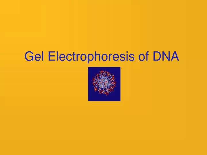 gel electrophoresis of dna