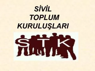 s v l toplum kurulu lari
