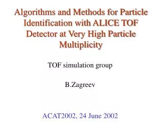 TOF simulation group B.Zagreev ACAT2002, 24 June 2002