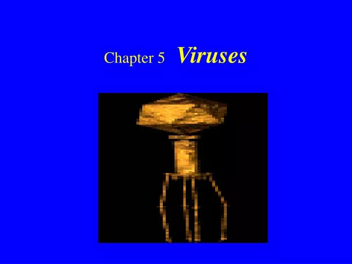chapter 5 viruses