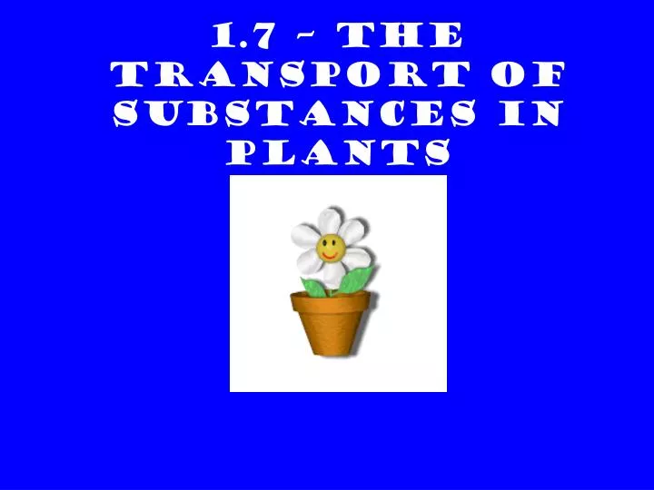 1 7 the transport of substances in plants