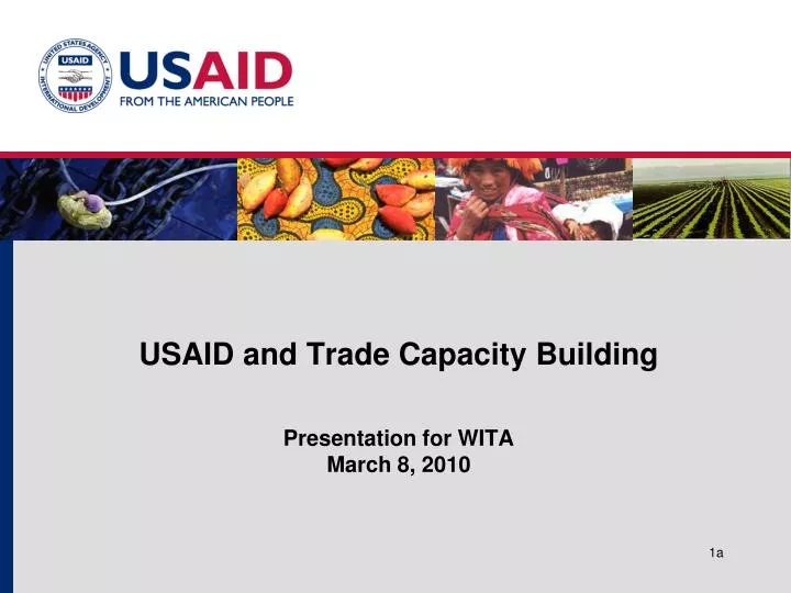 usaid and trade capacity building presentation for wita march 8 2010