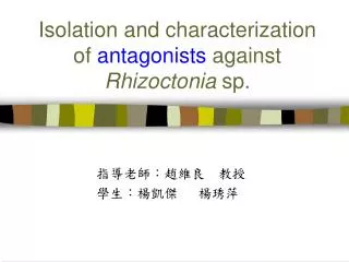 isolation and characterization of antagonists against rhizoctonia sp