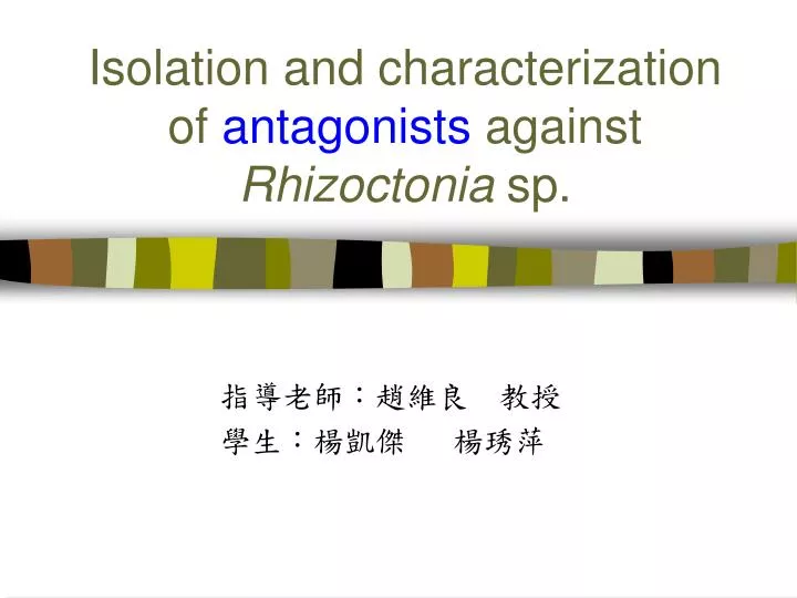 isolation and characterization of antagonists against rhizoctonia sp