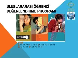 uluslararasi renc de erlend rme programi