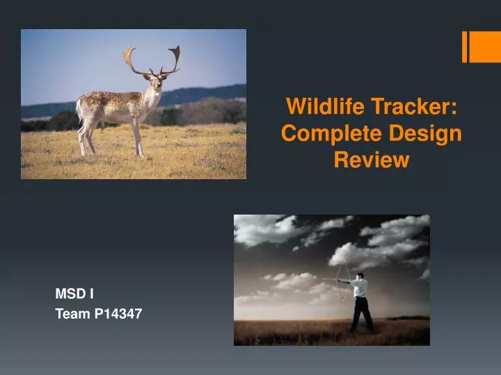 wildlife tracker complete design review