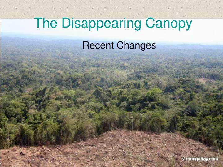 the disappearing canopy