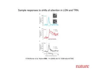 K McAlonan et al. Nature 000 , 1-4 (2008) doi:10.1038/nature07382