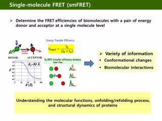 Single-molecule FRET ( smFRET )