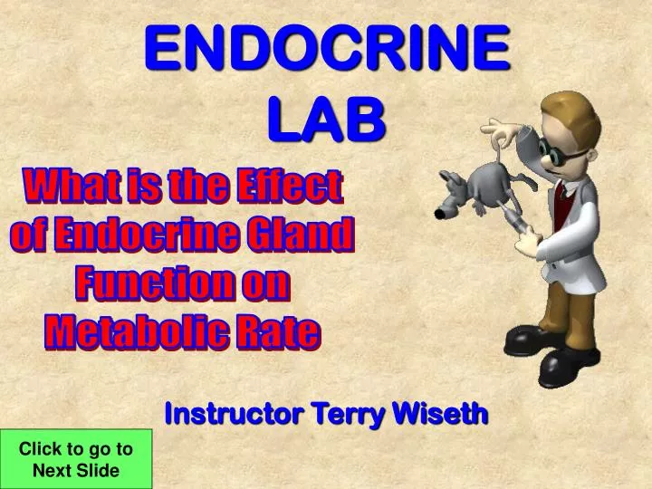 endocrine lab