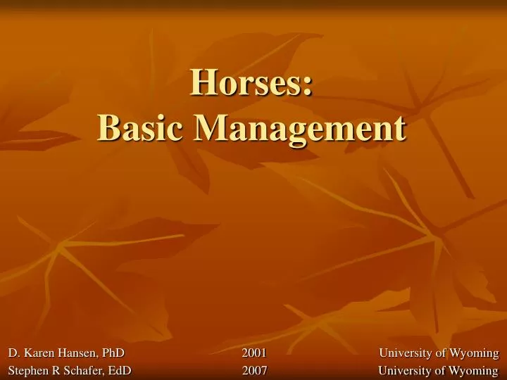 horses basic management