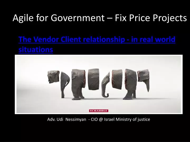 agile for government fix price projects