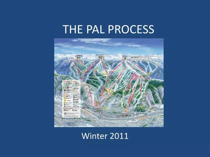 the pal process
