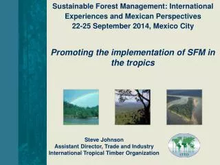 Steve Johnson Assistant Director, Trade and Industry International Tropical Timber Organization