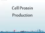 Understanding mRNA Formation and Protein Production: Transcription to Translation - slide 1