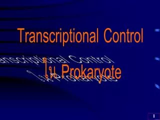 Transcriptional Control ?? Prokaryote