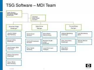 tsg software mdi team