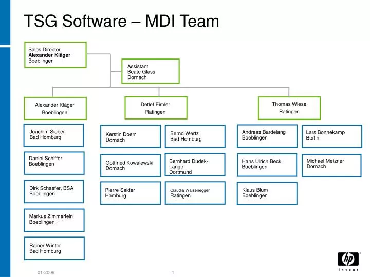 tsg software mdi team