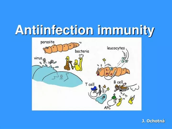 antiinfection immunity